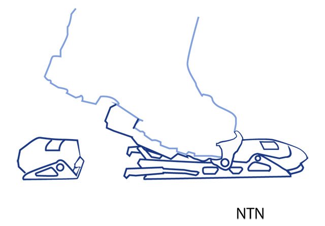 illustration of the NTN system