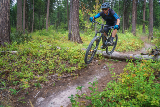 Noah Bodman reviews the Zerode Taniwha Trail for Blister